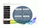 뉴 거인 통닭 소비자 행동론 12페이지