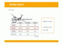 제주항공의 전략과 성공, 실패요인 19페이지