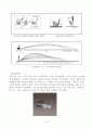 골프(Golf) 학습지도안 10페이지