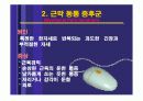 신종질병_마우스증후군 18페이지