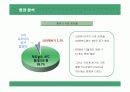 크라제버거의 마케팅 전략 분석 9페이지
