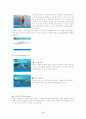 수영지도법 5페이지