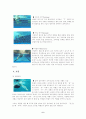 수영지도법 6페이지