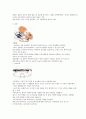 스쿼시에 대하여 13페이지