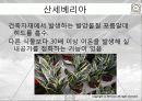 생태학과 에코이코노미(Eco-Economy ) 9페이지