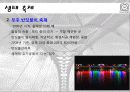 생태학과 에코이코노미(Eco-Economy ) 22페이지