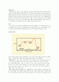 모세현상과 확산 2페이지