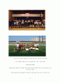 한국 유소년 축구시스템의 문제점 12페이지