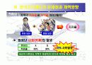 선거제도에 관한 조사보고서 11페이지