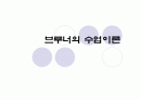브루너의 교육과정 1페이지