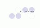 브루너의 교육과정 11페이지