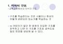 브루너의 교육과정 12페이지