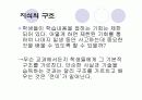 브루너의 교육과정 13페이지