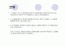 브루너의 교육과정 37페이지