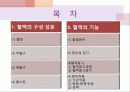 생리학특강 혈액의 구성과 기능 3페이지