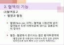 생리학특강 혈액의 구성과 기능 13페이지