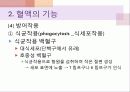 생리학특강 혈액의 구성과 기능 18페이지