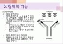 생리학특강 혈액의 구성과 기능 20페이지