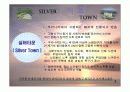실버타운 레포트, 파워포인트 발표 자료 3페이지