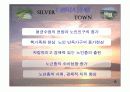 실버타운 레포트, 파워포인트 발표 자료 7페이지