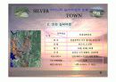 실버타운 레포트, 파워포인트 발표 자료 10페이지
