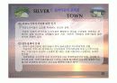 실버타운 레포트, 파워포인트 발표 자료 14페이지