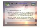 실버타운 레포트, 파워포인트 발표 자료 15페이지