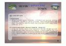 실버타운 레포트, 파워포인트 발표 자료 16페이지