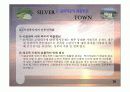 실버타운 레포트, 파워포인트 발표 자료 17페이지