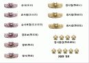 (파워포인트) 일본경찰제도 30페이지