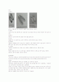 조선왕조시대의 수의 6페이지