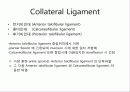 내과골절 후 재활 6페이지
