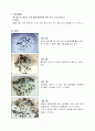 열무 종자발아 과정 1페이지
