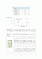 중소기업의 국제(해외) 마케팅 사례 연구  (미리넷솔라의 미국시장 마케팅 전략) 8페이지