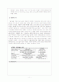 중소기업의 국제(해외) 마케팅 사례 연구  (미리넷솔라의 미국시장 마케팅 전략) 14페이지