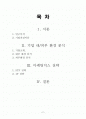 중소기업의 국제(해외) 마케팅 믹스 전략 사례 연구  (미리넷솔라의  마케팅 전략) 2페이지