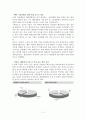 중소기업의 국제(해외) 마케팅 믹스 전략 사례 연구  (미리넷솔라의  마케팅 전략) 13페이지