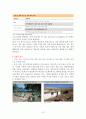 중소기업의 국제(해외) 마케팅 믹스 전략 사례 연구  (미리넷솔라의  마케팅 전략) 15페이지