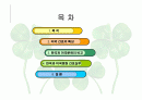 미국간호의 특징(문화간호) 2페이지