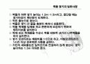 건축시공학 벽돌공사(쌓기) 16페이지