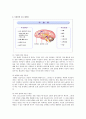 우울증의 원인과 증상에 따른 치료방법 및 예방법과 소아, 청소년 우울증과 가면 우울증에 대한 연구 - 우울증의 원인과 증상 6페이지
