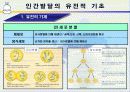 [인간행동과 사회환경]인간발달의 유전적 기초, 태내발달과 태내환경, 출산과 신생아기 시기에 대한 이론과  발달단계 ppt  5페이지