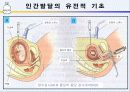 [인간행동과 사회환경]인간발달의 유전적 기초, 태내발달과 태내환경, 출산과 신생아기 시기에 대한 이론과  발달단계 ppt  13페이지
