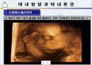 [인간행동과 사회환경]인간발달의 유전적 기초, 태내발달과 태내환경, 출산과 신생아기 시기에 대한 이론과  발달단계 ppt  20페이지
