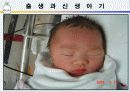 [인간행동과 사회환경]인간발달의 유전적 기초, 태내발달과 태내환경, 출산과 신생아기 시기에 대한 이론과  발달단계 ppt  38페이지