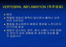 척추질환에 따른 영상의학 영상 29페이지