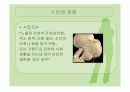 [장애인 복지론]장애 유형, 장애인 유형별 조사 분석 과제 3페이지