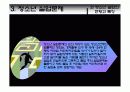 [청소년교육개론]청소년의 사회적 문제행동 분석 조사 21페이지