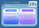 [청소년교육개론]청소년 문제의 의미와 성격,위험행동에 대한 조사와 대안책 17페이지