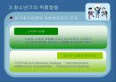 [청소년교육개론]청소년 문제의 의미와 성격,위험행동에 대한 조사와 대안책 26페이지